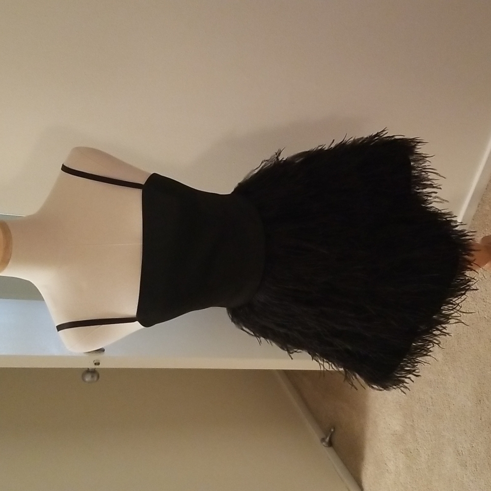 Bebe x Naven feather dress